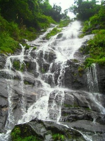 周洛活动 周洛活动