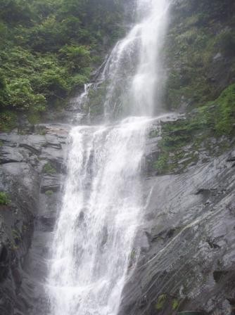 周洛活动 周洛活动