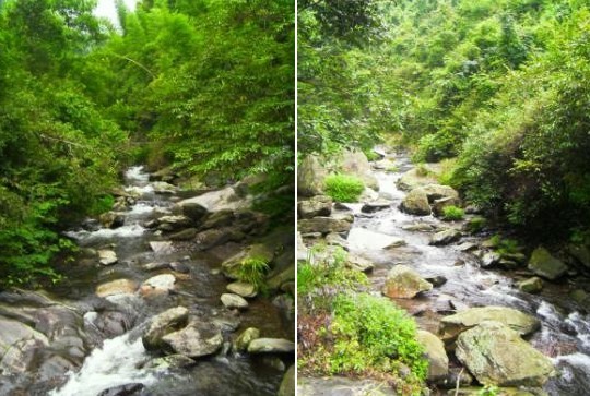 周洛活动 周洛活动