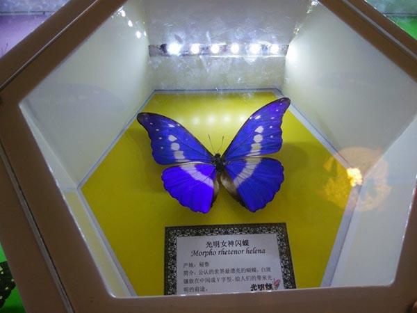 2014年公司员工活动——“蝶谷-靖港古镇- 铜官窑一日自驾游” 2014年公司员工活动——“蝶谷-靖港古镇- 铜官窑一日自驾游”