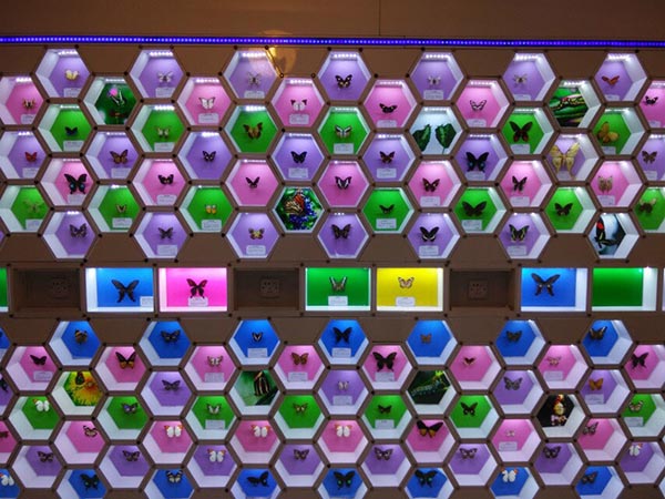 2014年公司员工活动——“蝶谷-靖港古镇- 铜官窑一日自驾游” 2014年公司员工活动——“蝶谷-靖港古镇- 铜官窑一日自驾游”